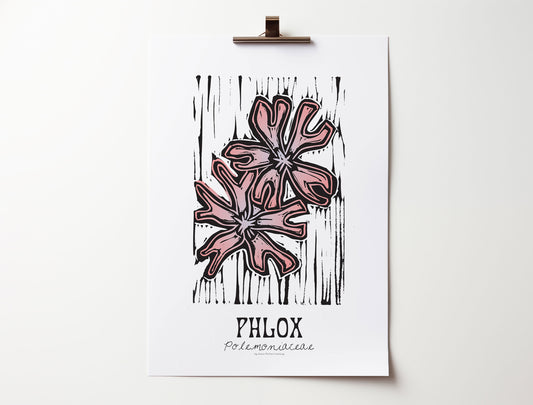 Phlox: Bold Floral Print