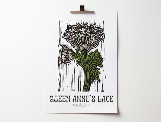 Queen Anne's Lace: Bold Floral Print