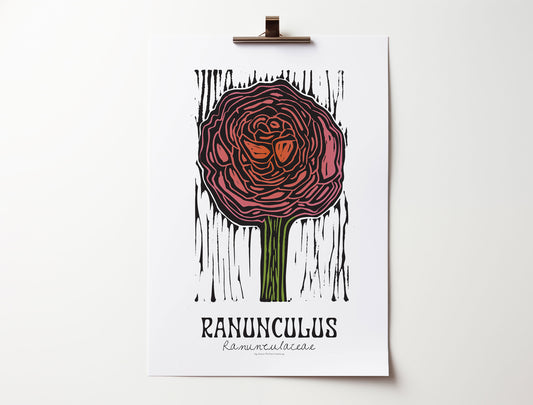 Ranunculus: Bold Floral Print