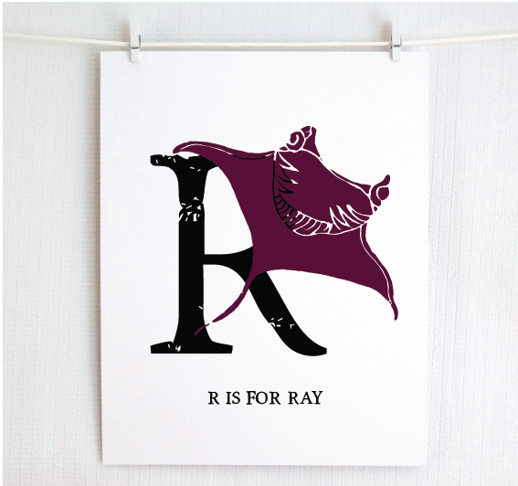 R is for Ray Illustrated Print