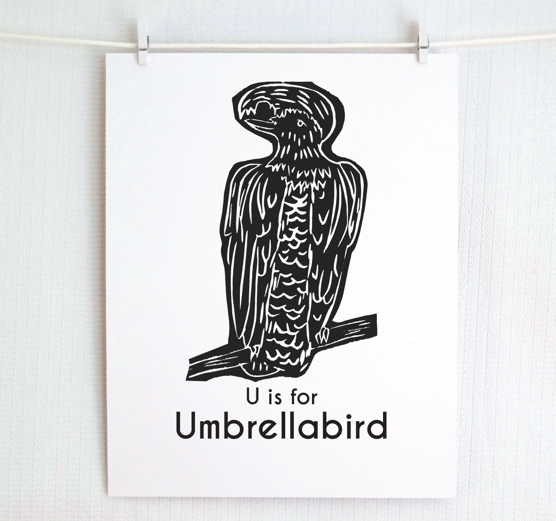 U is for Umbrellabird: Captivating Creatures Alphabet Letter Print