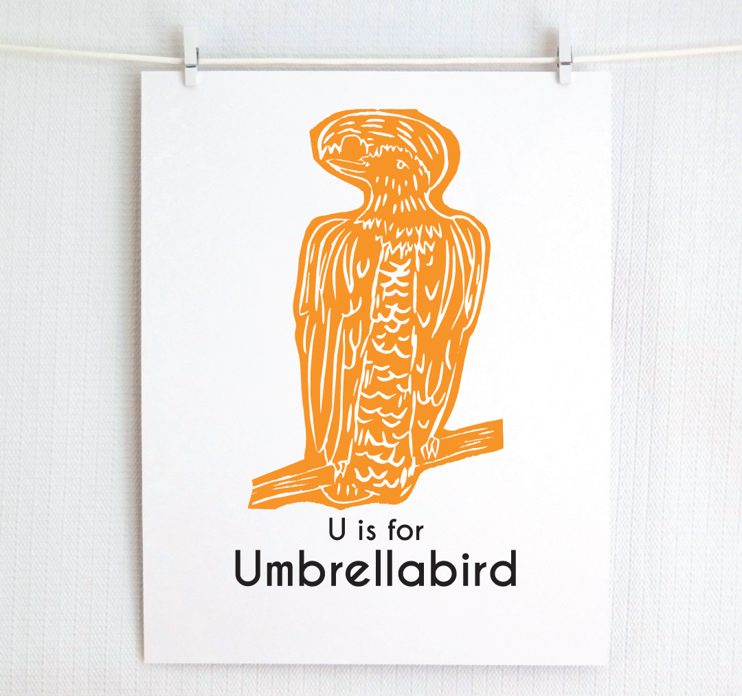 U is for Umbrellabird: Captivating Creatures Alphabet Letter Print