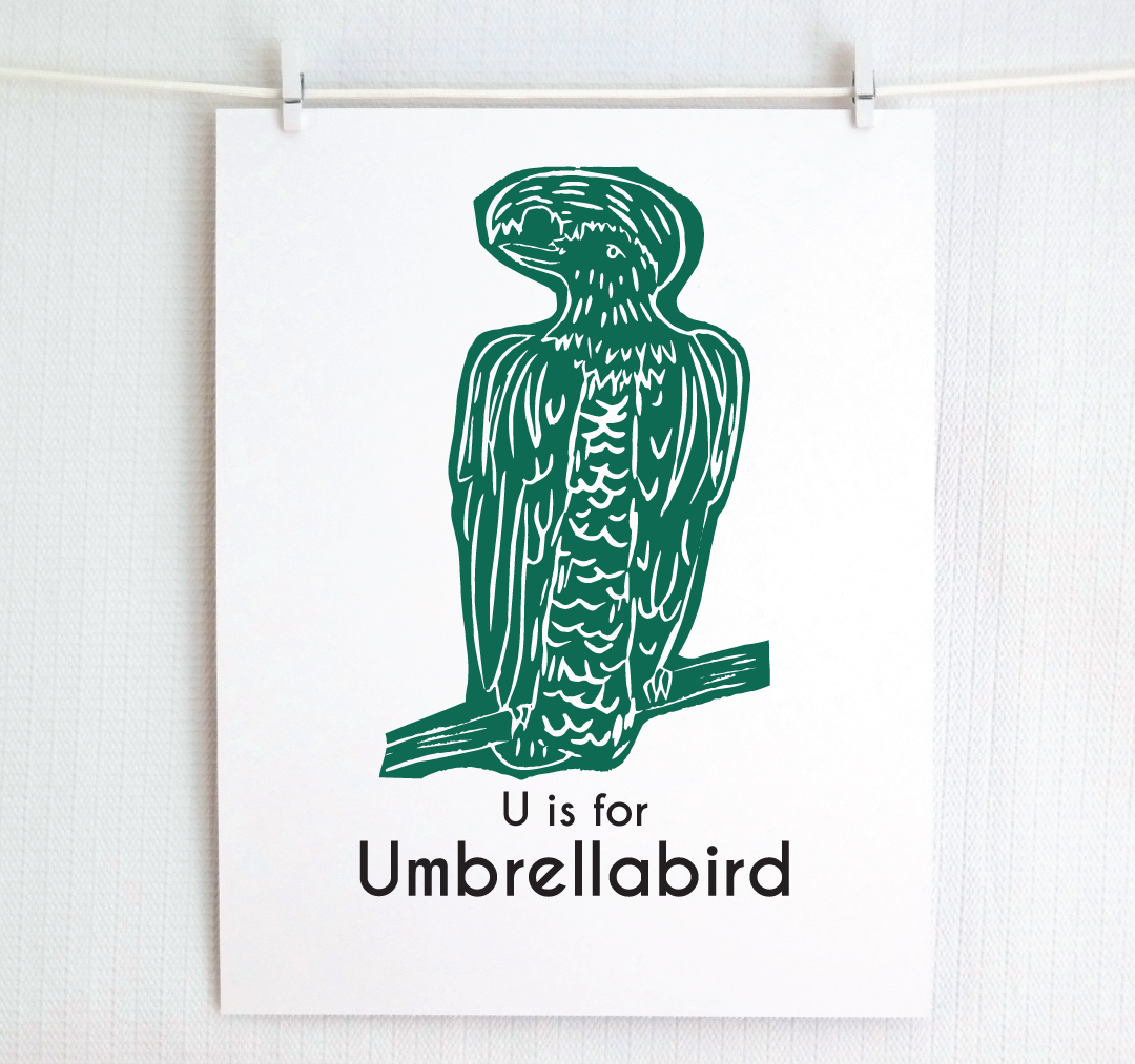 U is for Umbrellabird: Captivating Creatures Alphabet Letter Print