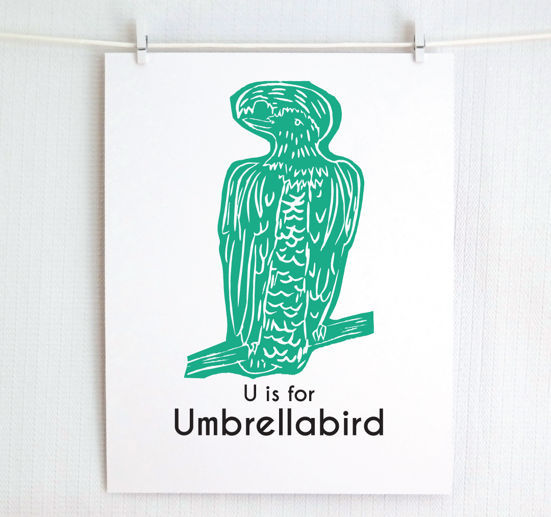 U is for Umbrellabird: Captivating Creatures Alphabet Letter Print