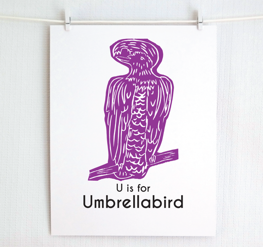 U is for Umbrellabird: Captivating Creatures Alphabet Letter Print