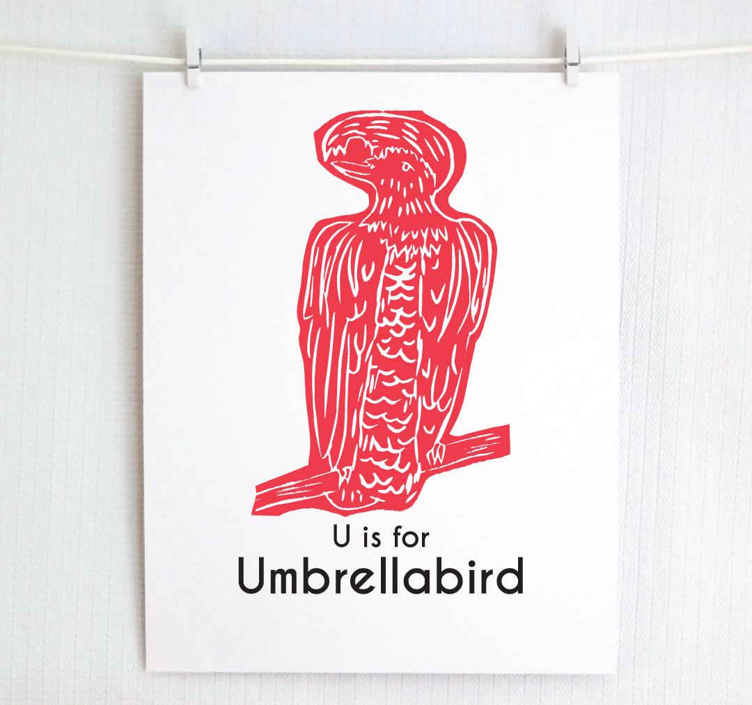U is for Umbrellabird: Captivating Creatures Alphabet Letter Print
