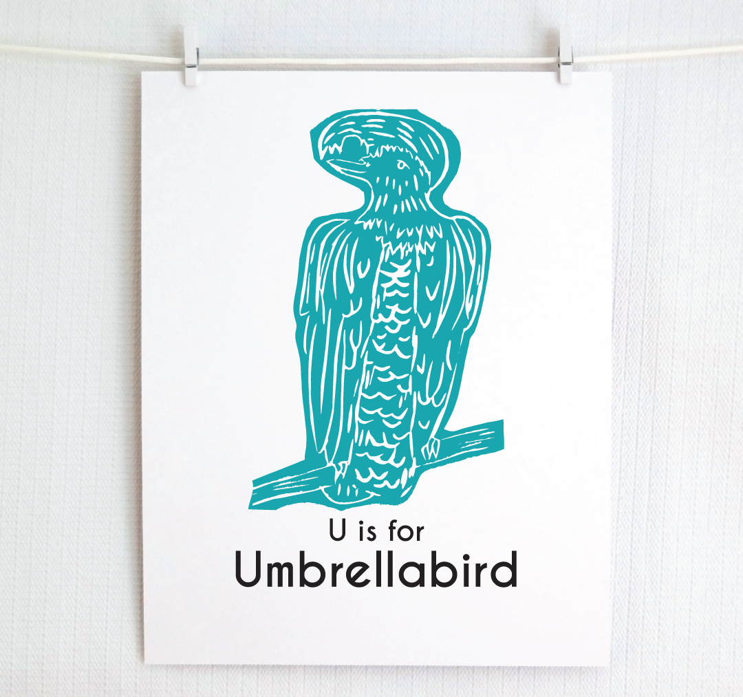 U is for Umbrellabird: Captivating Creatures Alphabet Letter Print