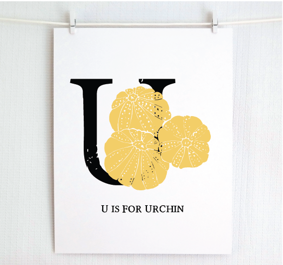 U is for Urchin Illustrated Print