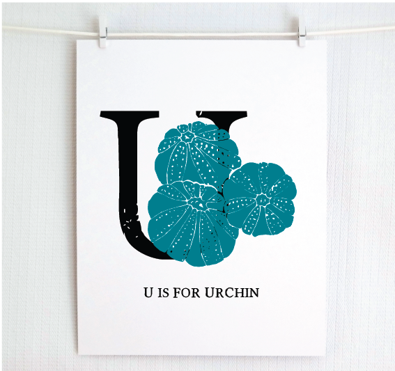 U is for Urchin Illustrated Print