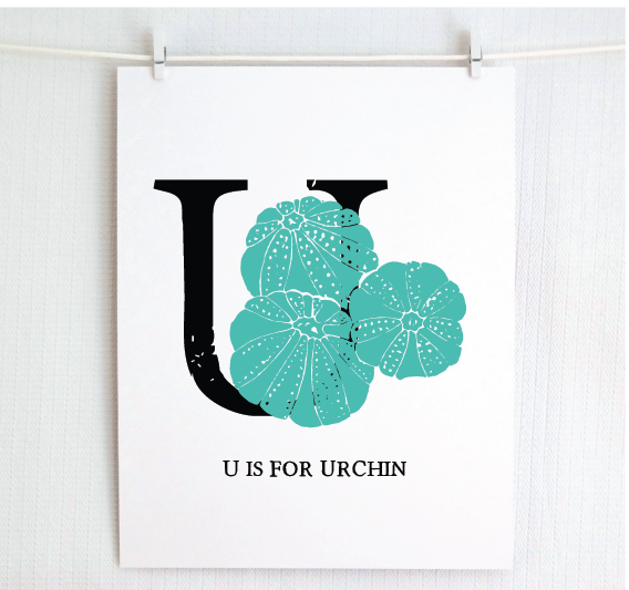 U is for Urchin Illustrated Print