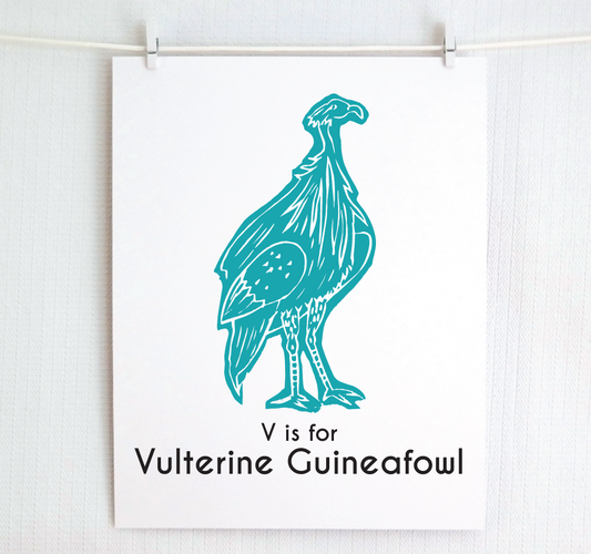V is for Vulterine Guineafowl: Captivating Creatures Alphabet Letter Print