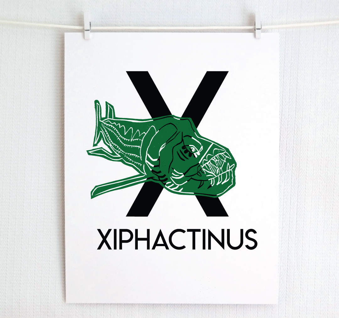 X is for Xiphactinus Illustrated Print
