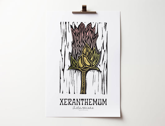 Xeranthemum: Bold Floral Print