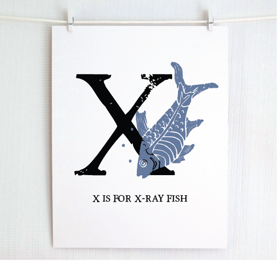 X is for X-Ray Fish Illustrated Print