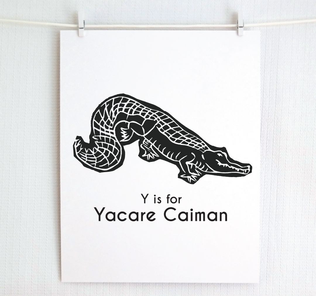 Y is for Yacare Caiman: Captivating Creatures Alphabet Letter Print