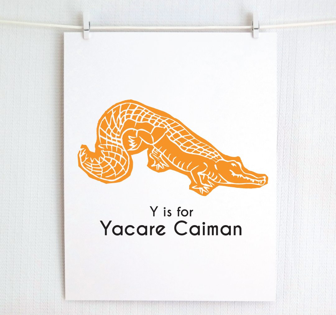 Y is for Yacare Caiman: Captivating Creatures Alphabet Letter Print