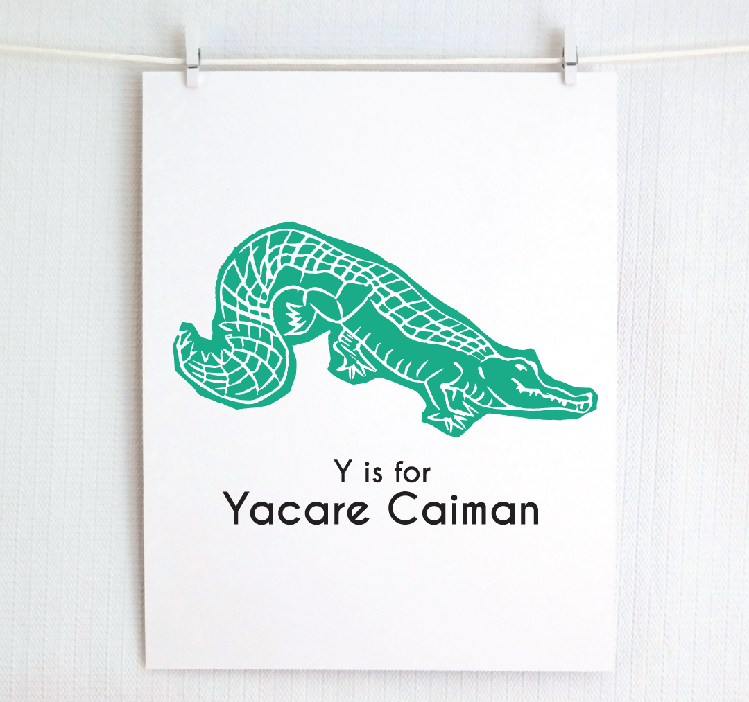 Y is for Yacare Caiman: Captivating Creatures Alphabet Letter Print