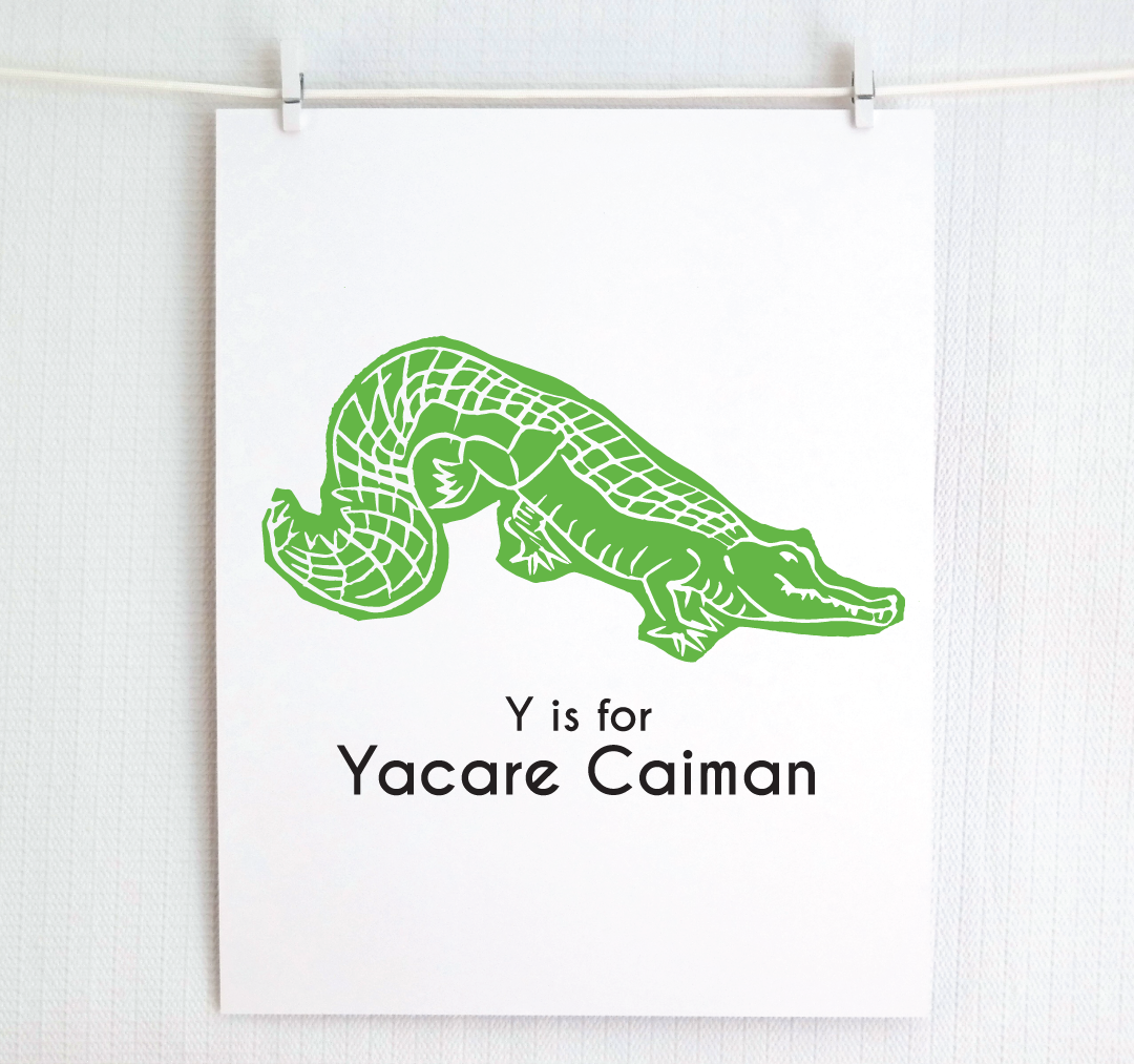 Y is for Yacare Caiman: Captivating Creatures Alphabet Letter Print