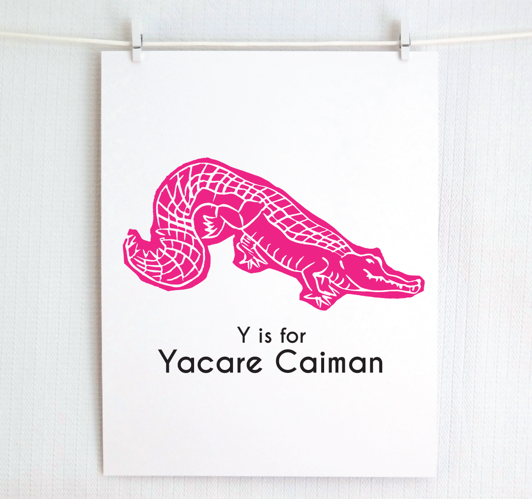 Y is for Yacare Caiman: Captivating Creatures Alphabet Letter Print