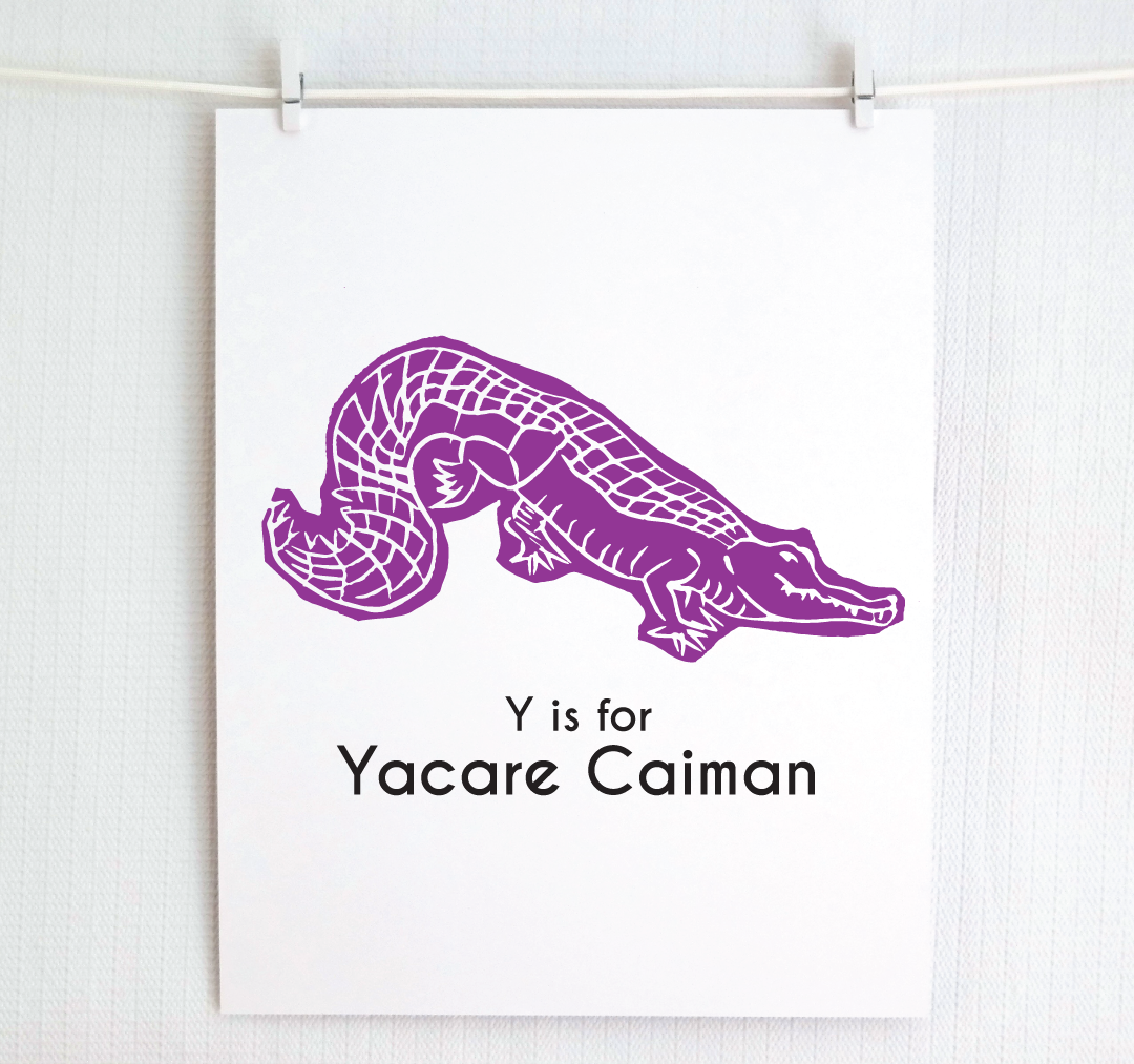 Y is for Yacare Caiman: Captivating Creatures Alphabet Letter Print