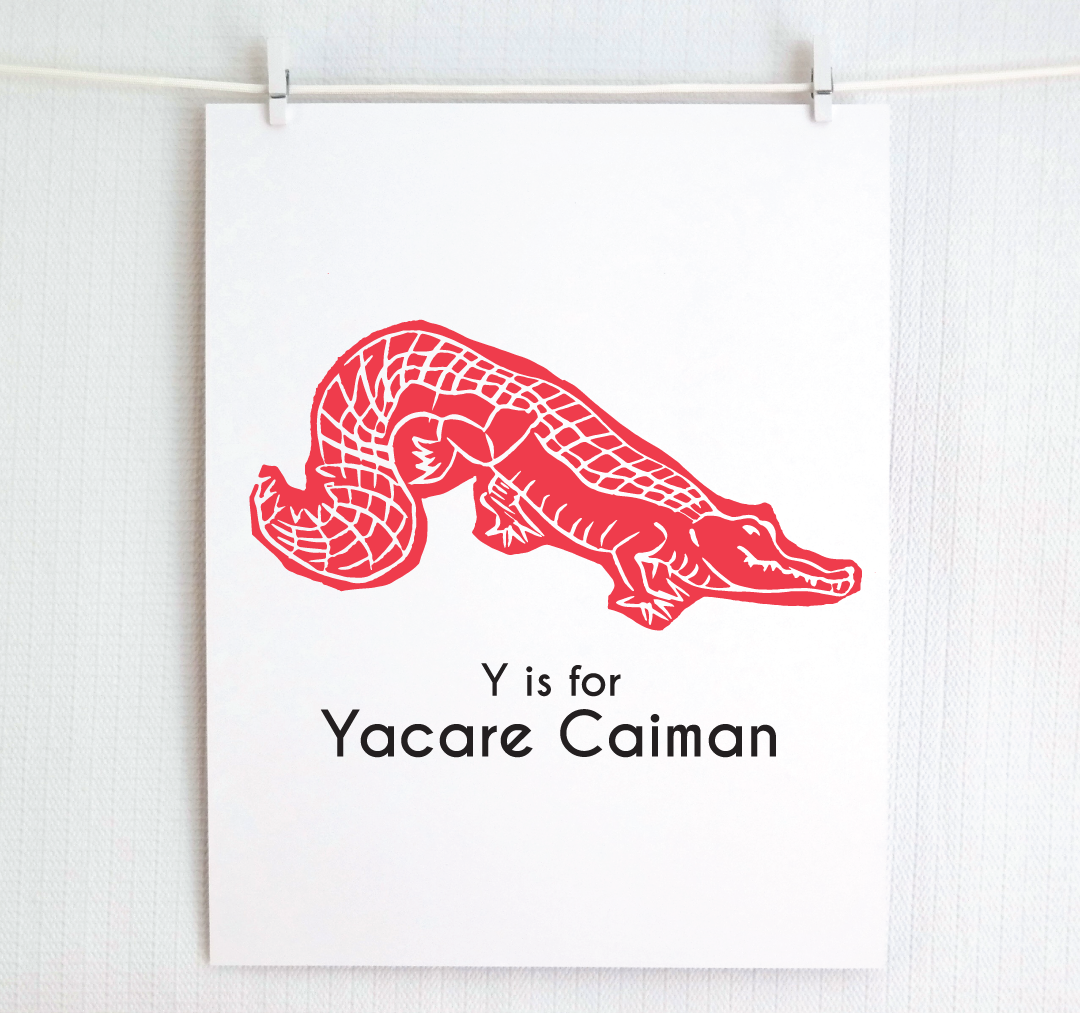 Y is for Yacare Caiman: Captivating Creatures Alphabet Letter Print