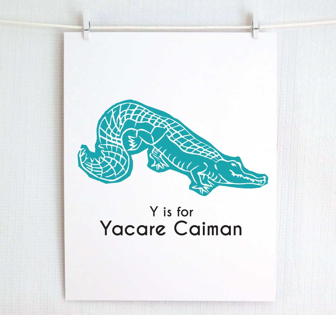 Y is for Yacare Caiman: Captivating Creatures Alphabet Letter Print