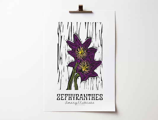Zephyranthes: Bold Floral Print