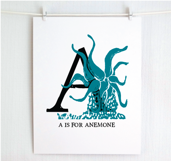 An illustrated dark teal anemone with done in printmaking style over decorative style block lettering text “A” with “A for Anemone” text printed below.
