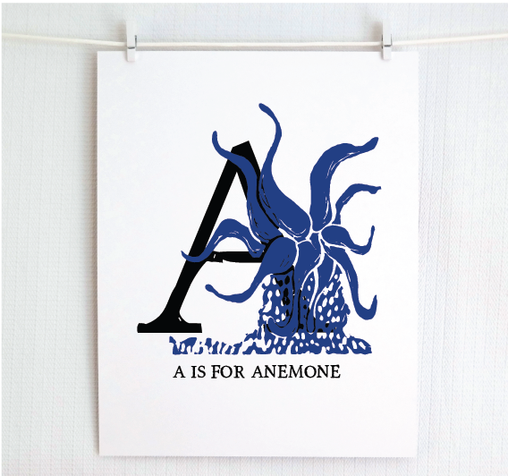 An illustrated navy anemone with done in printmaking style over decorative style block lettering text “A” with “A for Anemone” text printed below.
