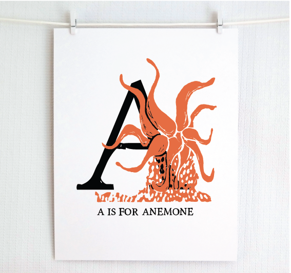 An illustrated orange anemone with done in printmaking style over decorative style block lettering text “A” with “A for Anemone” text printed below.
