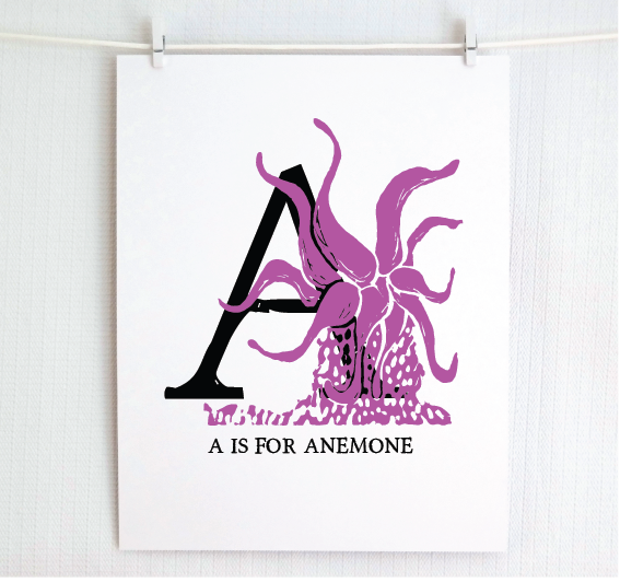 An illustrated pink anemone with done in printmaking style over decorative style block lettering text “A” with “A for Anemone” text printed below.
