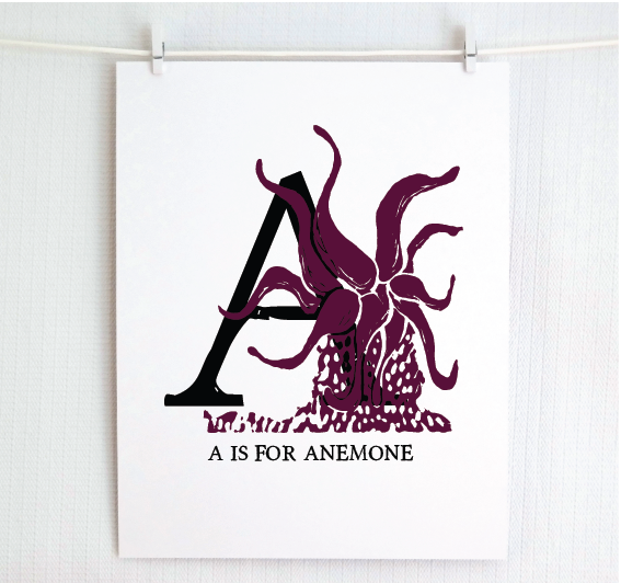 An illustrated plum anemone with done in printmaking style over decorative style block lettering text “A” with “A for Anemone” text printed below.
