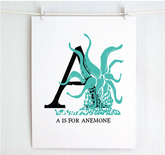An illustrated teal anemone with done in printmaking style over decorative style block lettering text “A” with “A for Anemone” text printed below.
