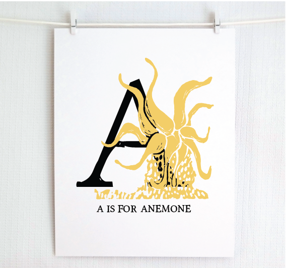 An illustrated yellow anemone with done in printmaking style over decorative style block lettering text “A” with “A for Anemone” text printed below.
