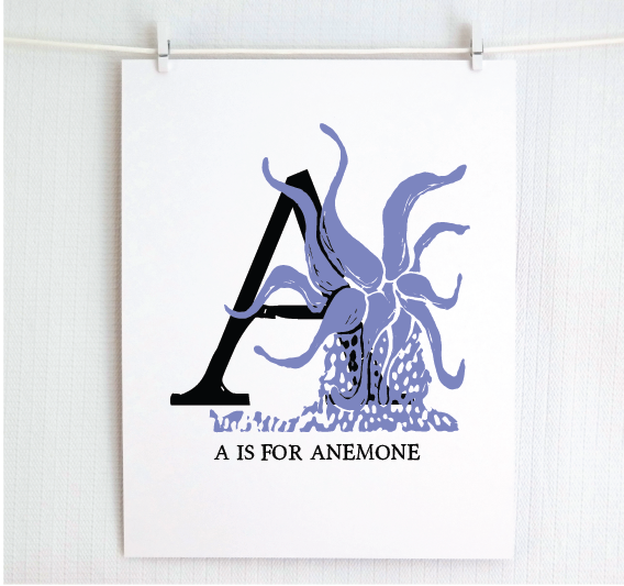 A is for Anemone