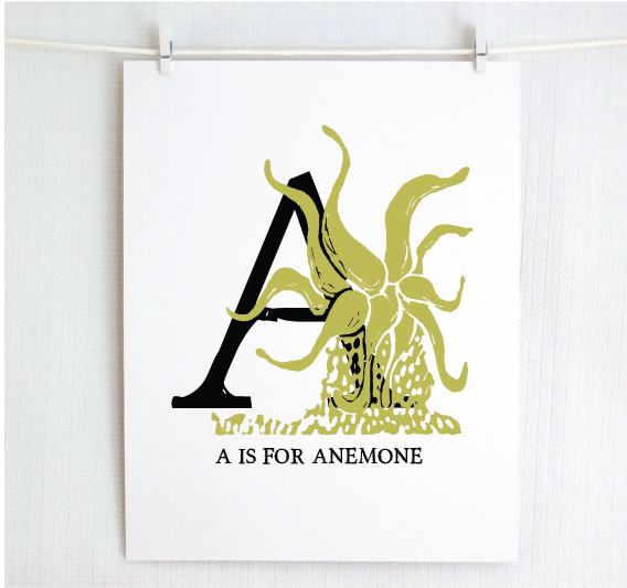 A is for Anemone