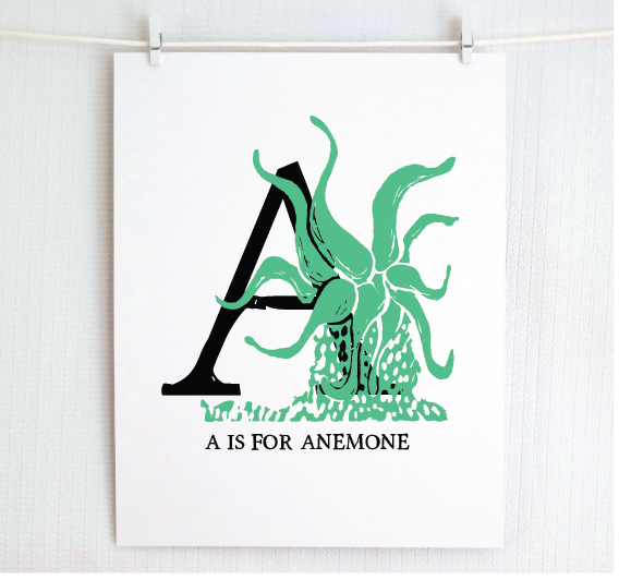 An illustrated sea grass green anemone with done in printmaking style over decorative style block lettering text “A” with “A for Anemone” text printed below.
