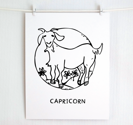 Signs of the Zodiac: CAPRICORN