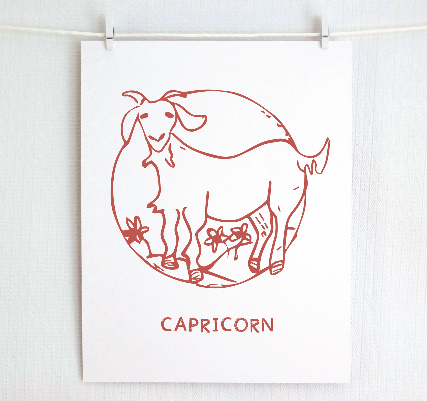 Signs of the Zodiac: CAPRICORN