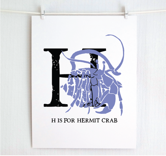 H is for Hermit Crab