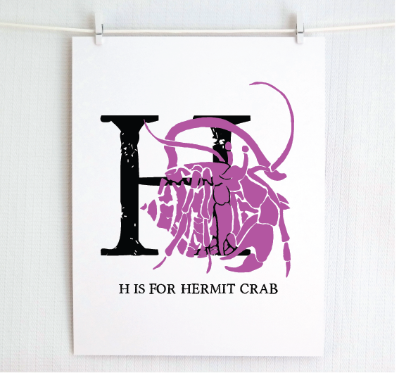 H is for Hermit Crab