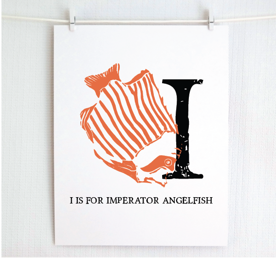 I is for Imperator Angelfish