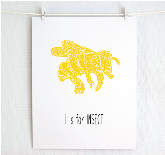 I is for Insect