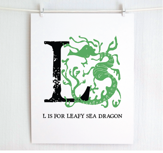 L is for Leafy Sea Dragon
