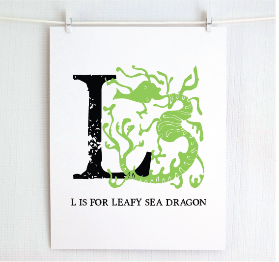 L is for Leafy Sea Dragon