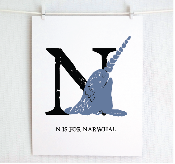 N is for Narwhal