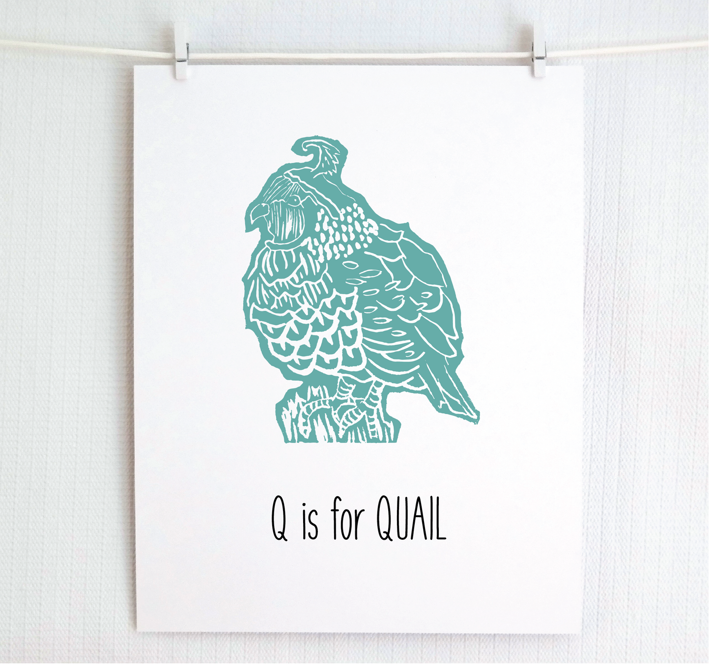 Q is for Quail