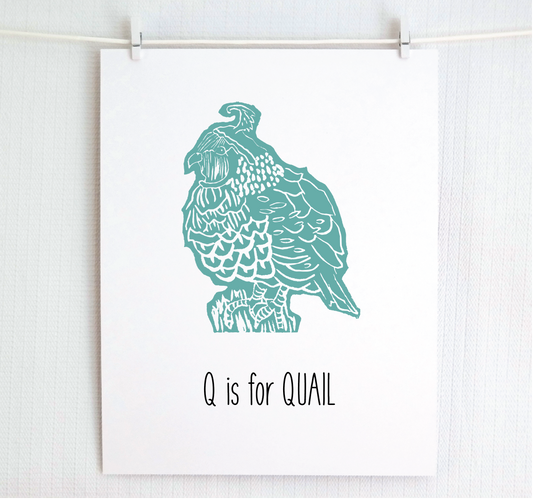 Q is for Quail Illustrated Print