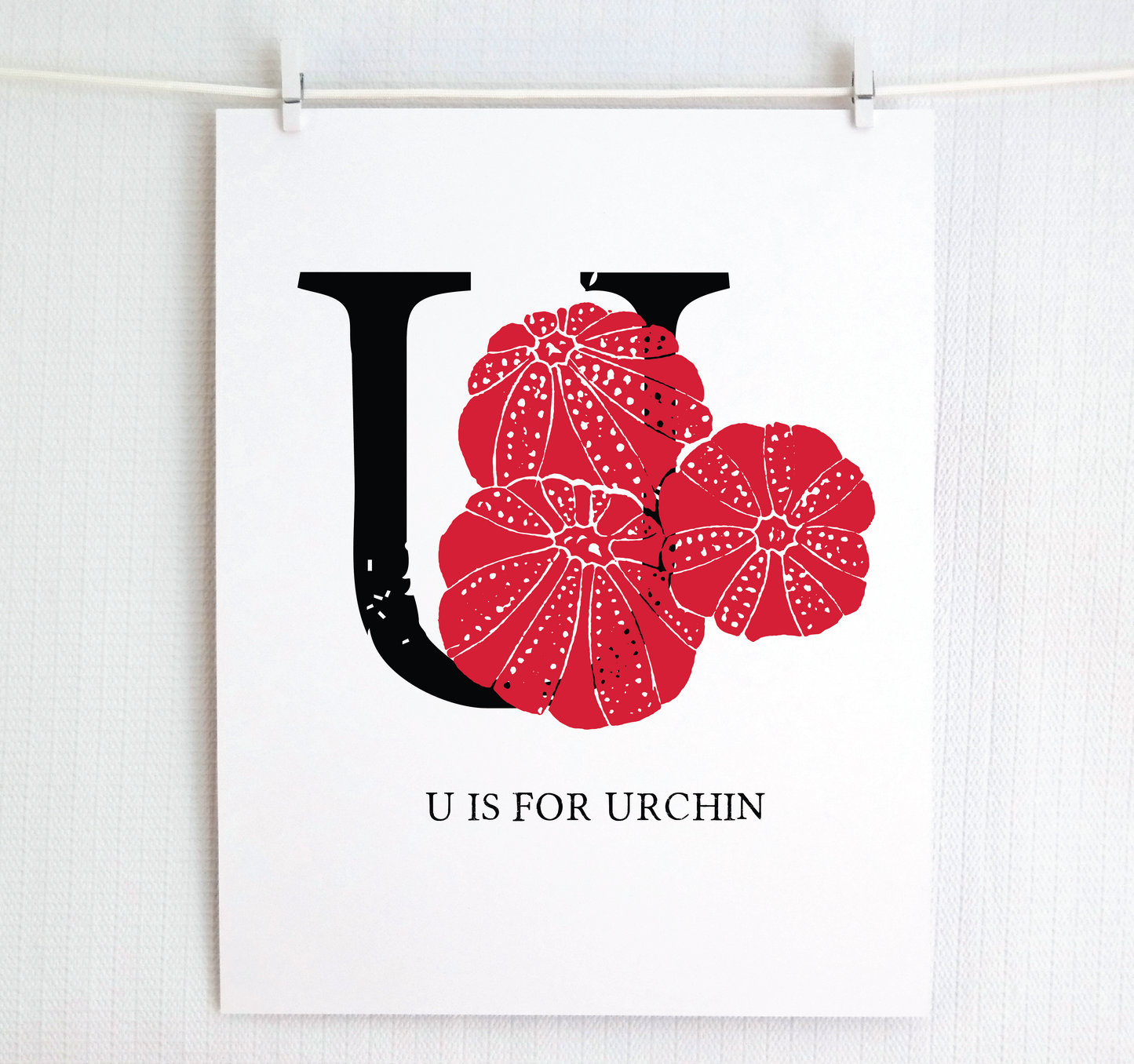 U is for Urchin